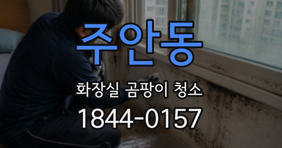 주안동 화장실 곰팡이 청소