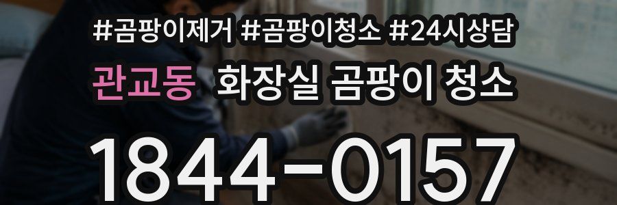 관교동 화장실 곰팡이 청소
