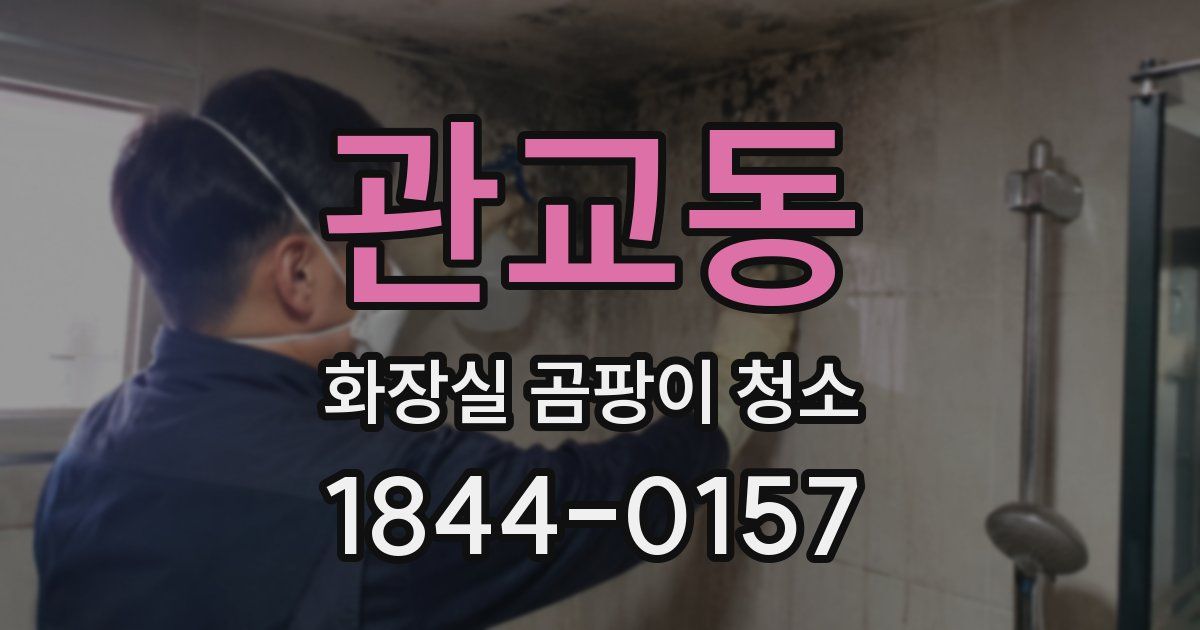 관교동 화장실 곰팡이 청소