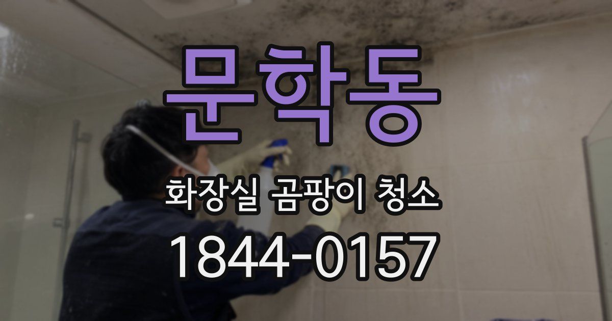문학동 화장실 곰팡이 청소