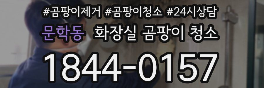 문학동 화장실 곰팡이 청소
