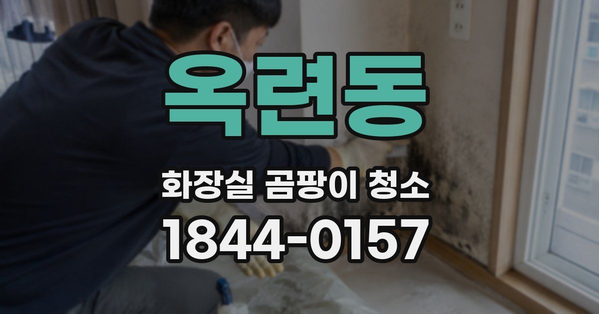 옥련동 화장실 곰팡이 청소