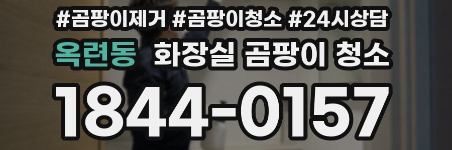 옥련동 화장실 곰팡이 청소