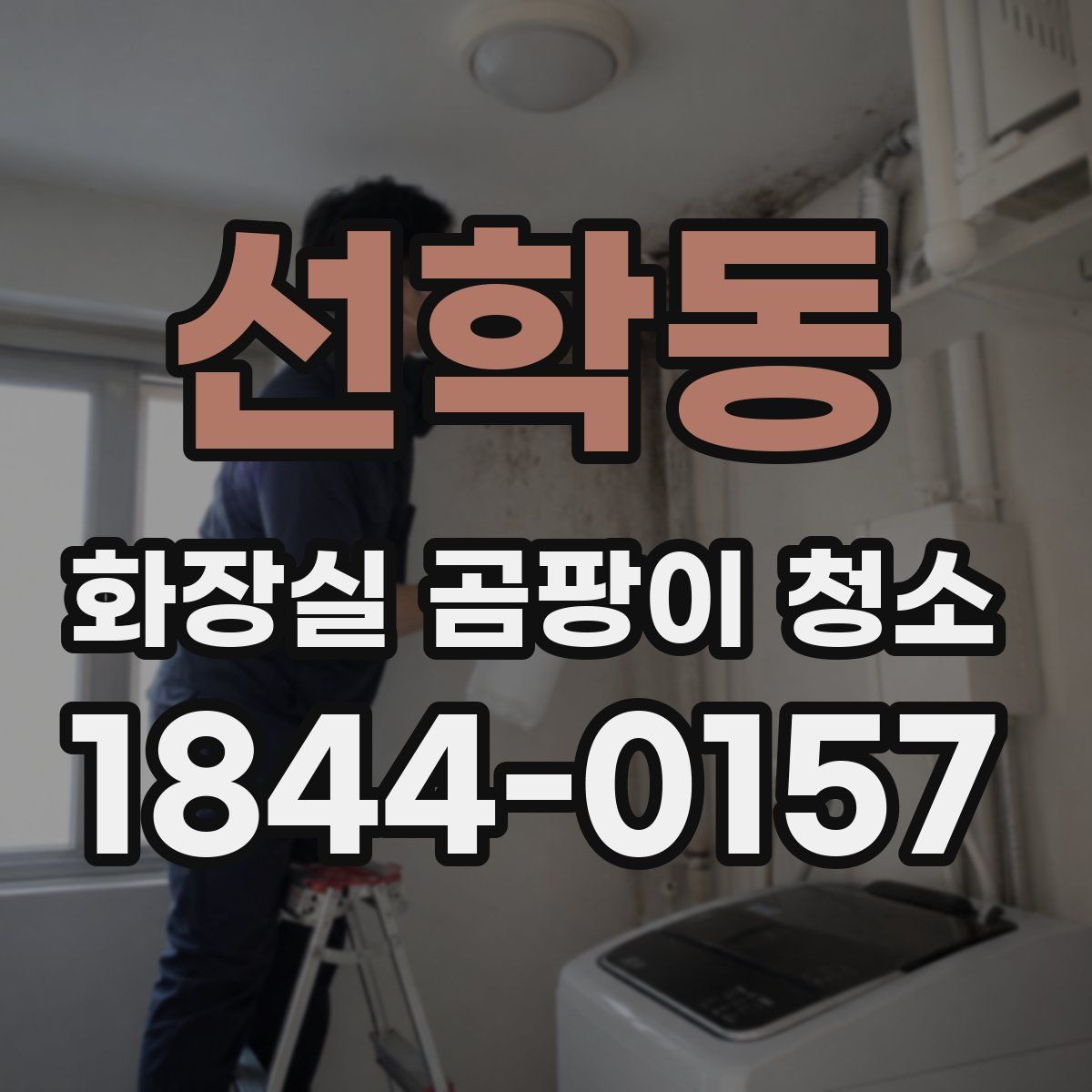 선학동 화장실 곰팡이 청소