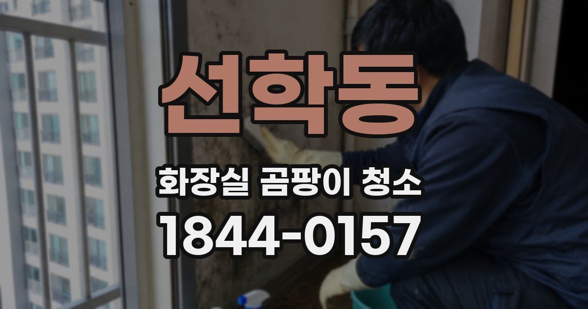 선학동 화장실 곰팡이 청소