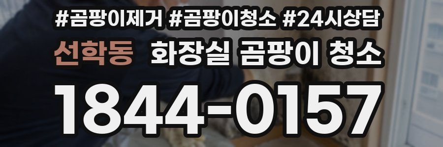 선학동 화장실 곰팡이 청소