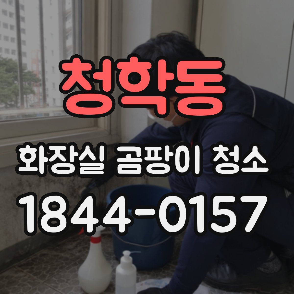 청학동 화장실 곰팡이 청소