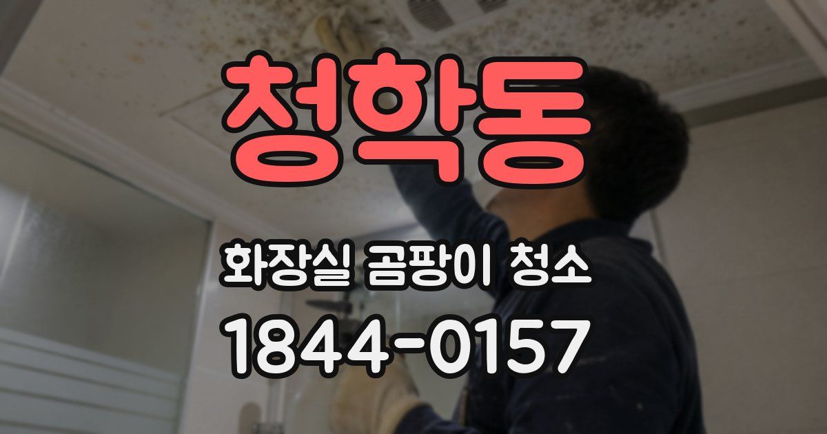 청학동 화장실 곰팡이 청소