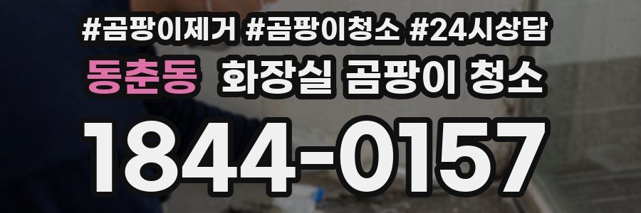 동춘동 화장실 곰팡이 청소
