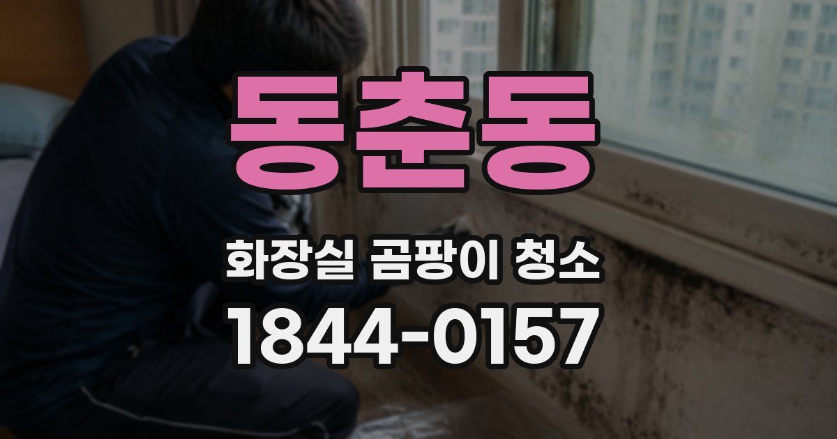 동춘동 화장실 곰팡이 청소