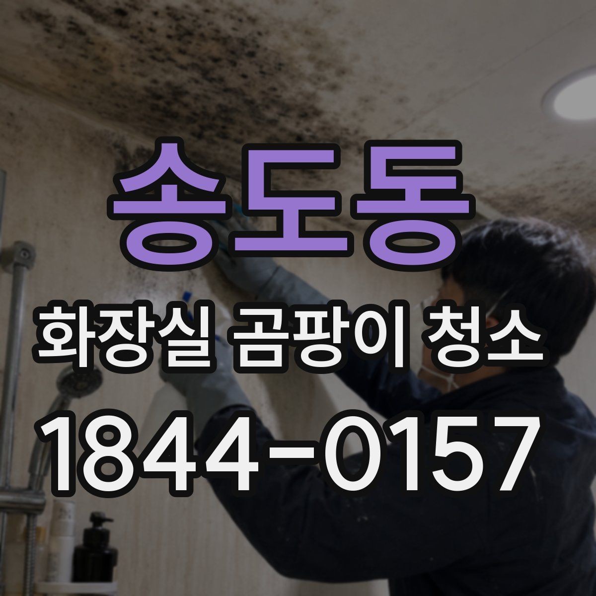 송도동 화장실 곰팡이 청소 습기 차는 계절에 번짐을 늦추는 생활 팁