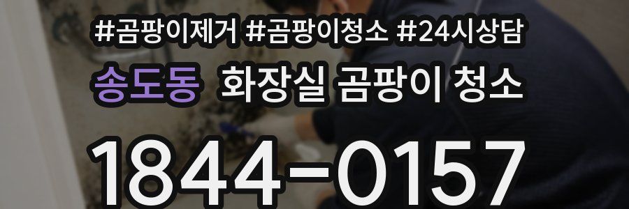 송도동 화장실 곰팡이 청소