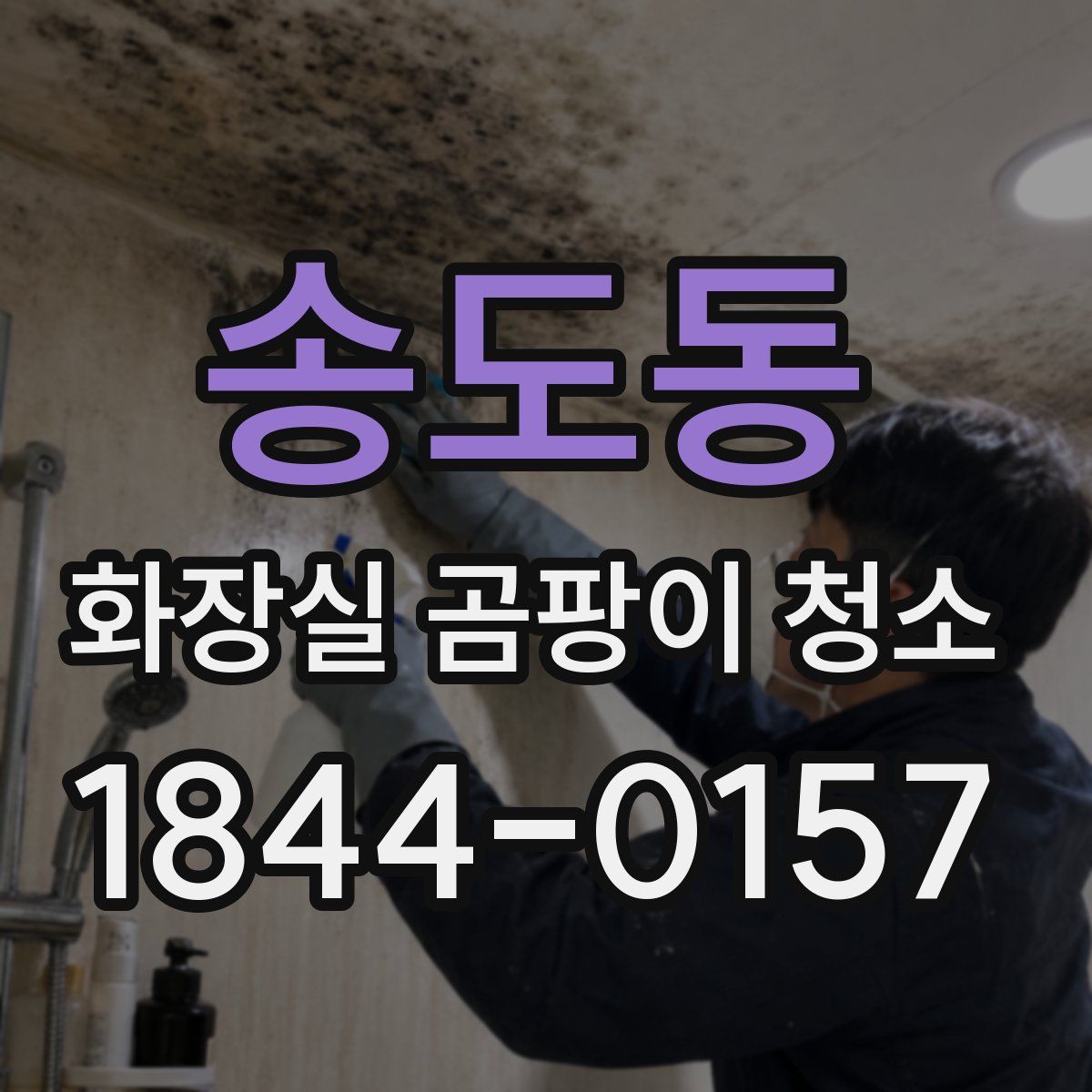 송도동 화장실 곰팡이 청소