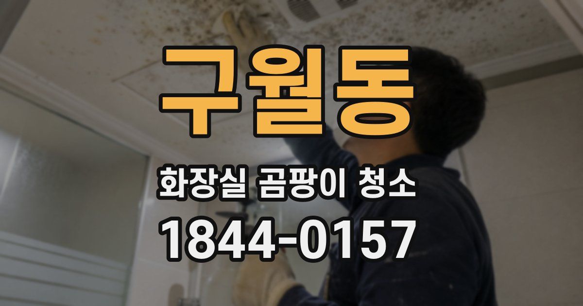 구월동 화장실 곰팡이 청소