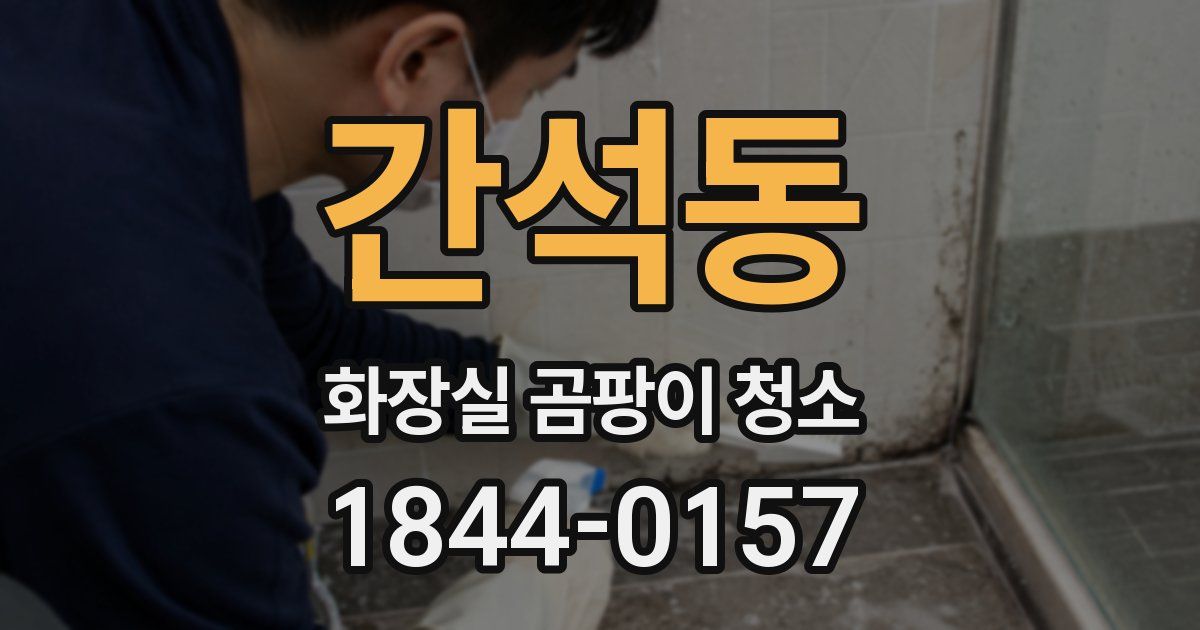 간석동 화장실 곰팡이 청소