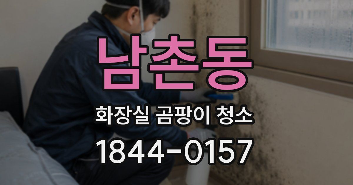 남촌동 화장실 곰팡이 청소