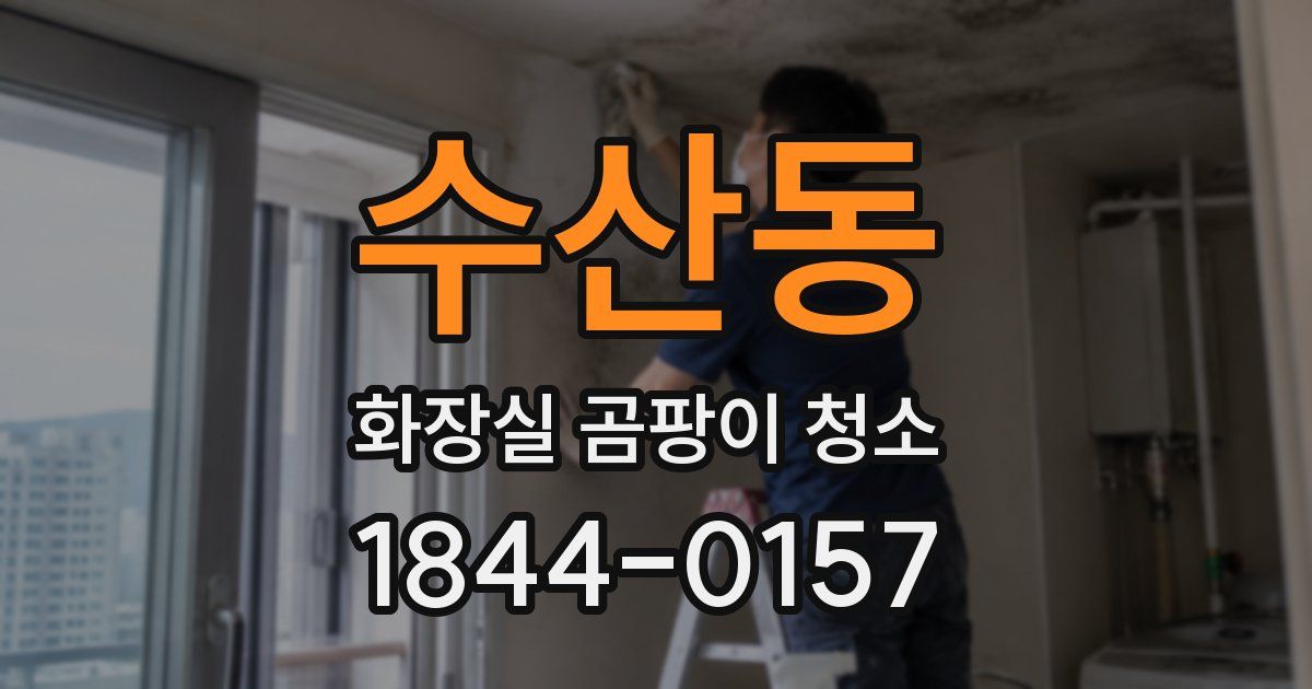 수산동 화장실 곰팡이 청소