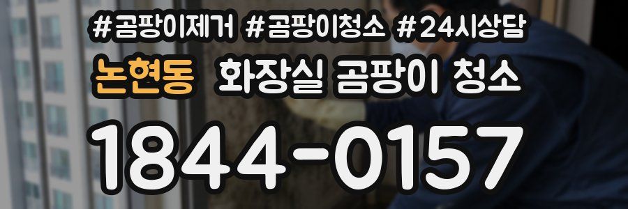 논현동 화장실 곰팡이 청소