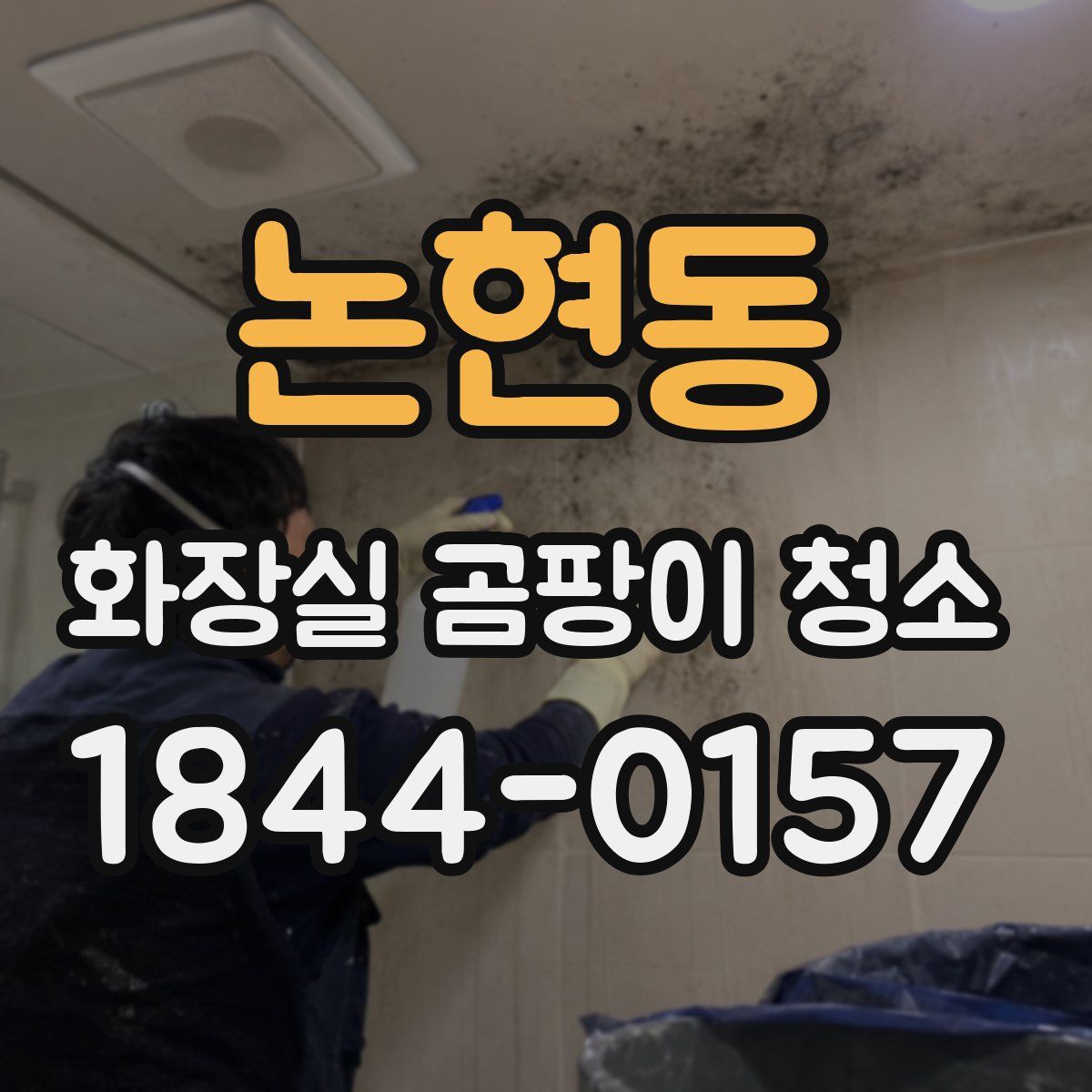 논현동 화장실 곰팡이 청소