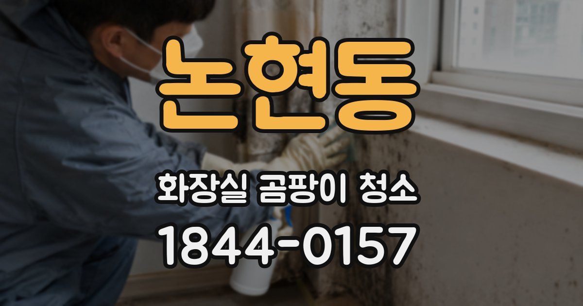 논현동 화장실 곰팡이 청소
