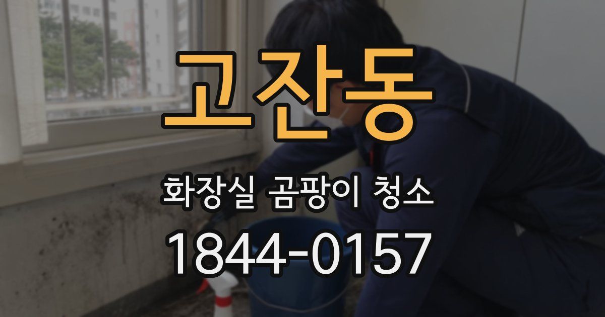 고잔동 화장실 곰팡이 청소