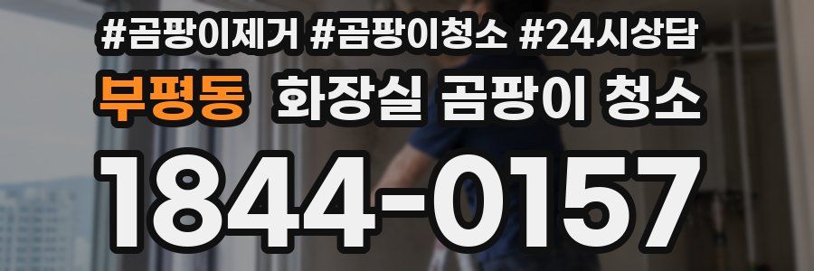 부평동 화장실 곰팡이 청소