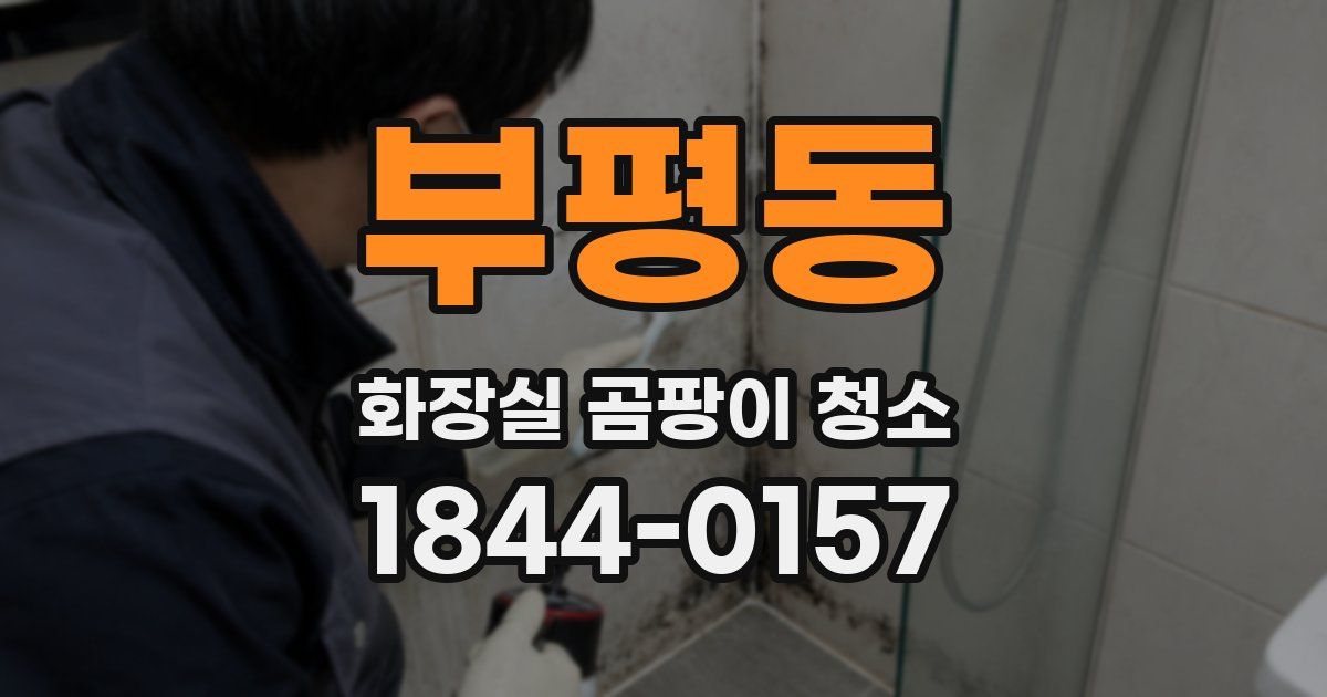 부평동 화장실 곰팡이 청소