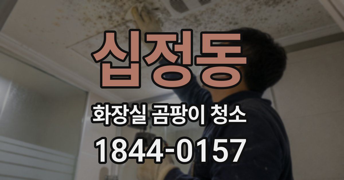 십정동 화장실 곰팡이 청소