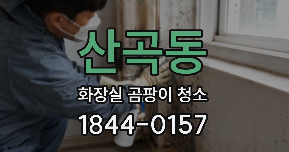 산곡동 화장실 곰팡이 청소