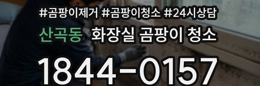 산곡동 화장실 곰팡이 청소