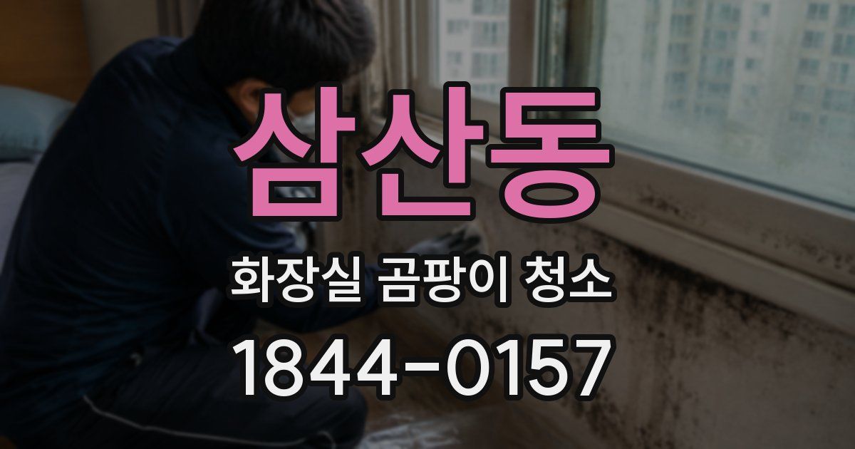 삼산동 화장실 곰팡이 청소