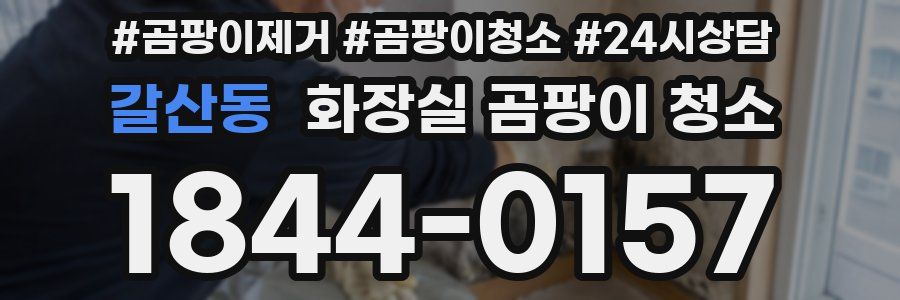 갈산동 화장실 곰팡이 청소