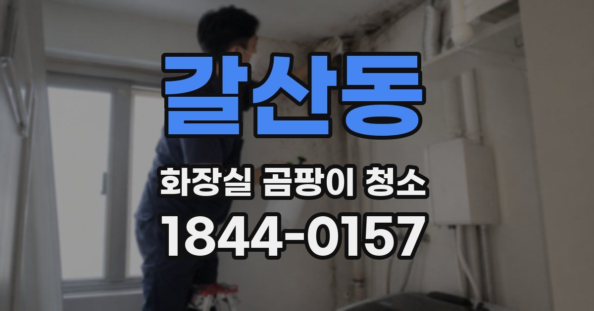 갈산동 화장실 곰팡이 청소