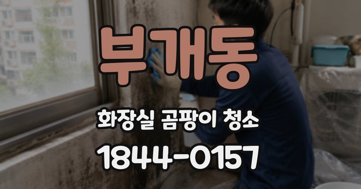 부개동 화장실 곰팡이 청소