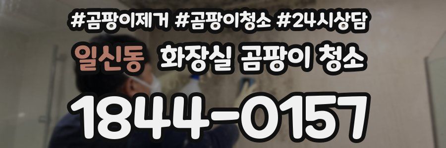 일신동 화장실 곰팡이 청소