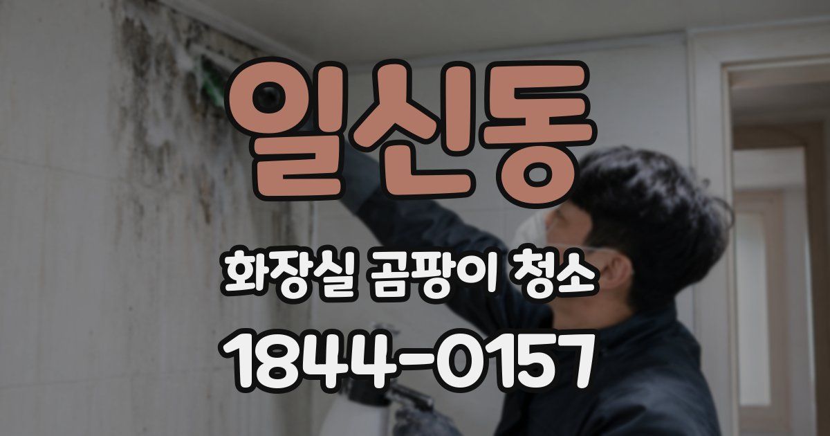 일신동 화장실 곰팡이 청소
