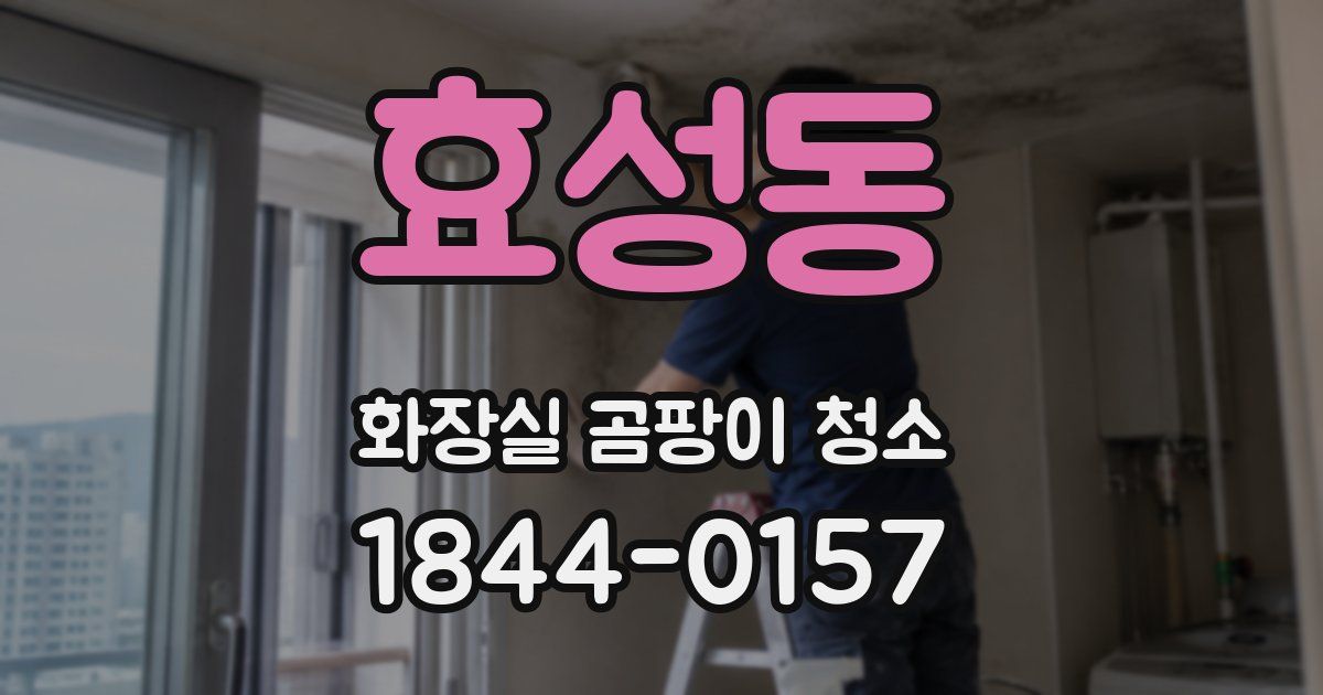 효성동 화장실 곰팡이 청소
