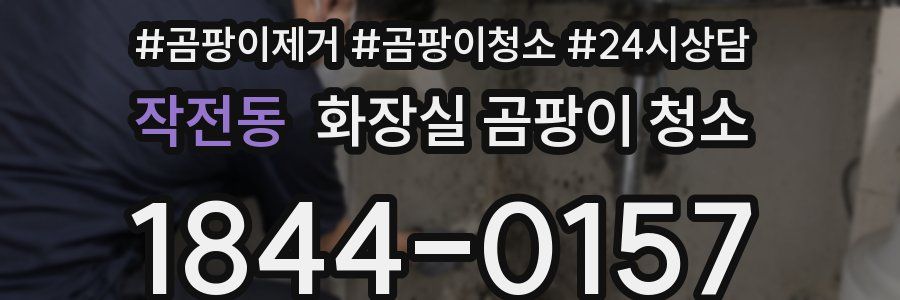 작전동 화장실 곰팡이 청소