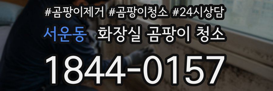 서운동 화장실 곰팡이 청소