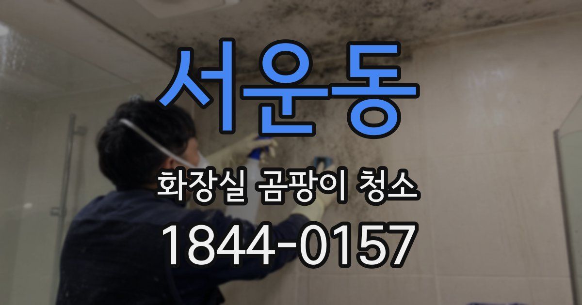 서운동 화장실 곰팡이 청소