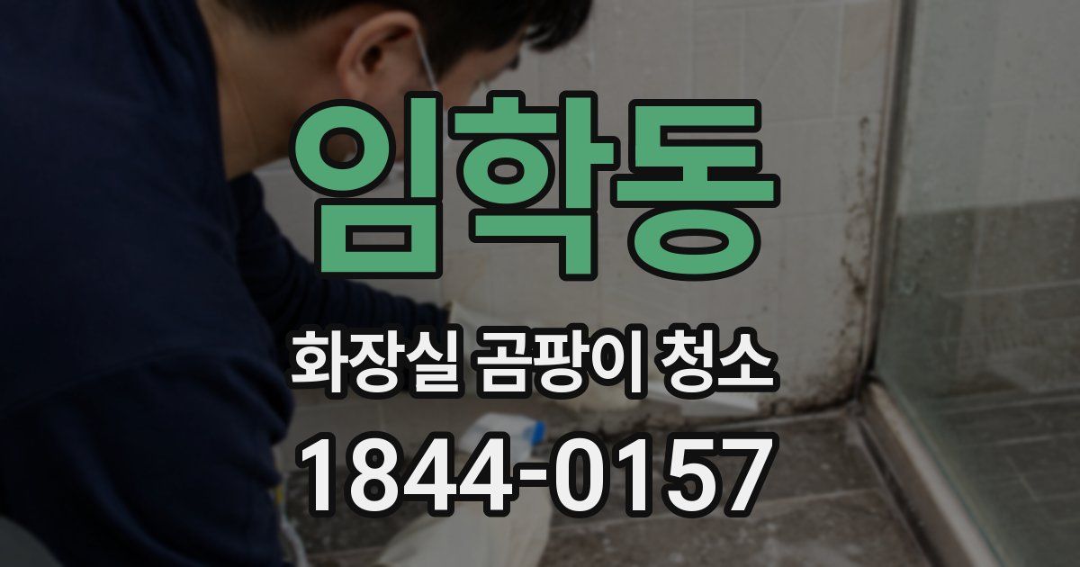 임학동 화장실 곰팡이 청소