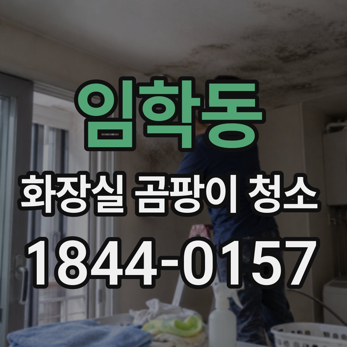 임학동 화장실 곰팡이 청소