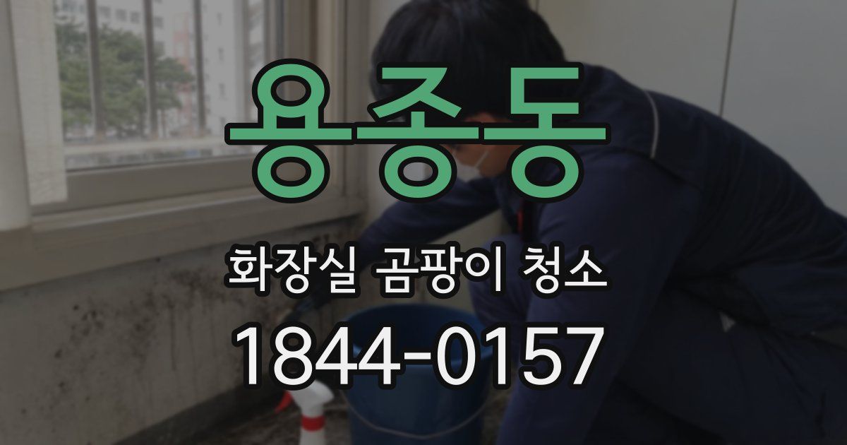 용종동 화장실 곰팡이 청소