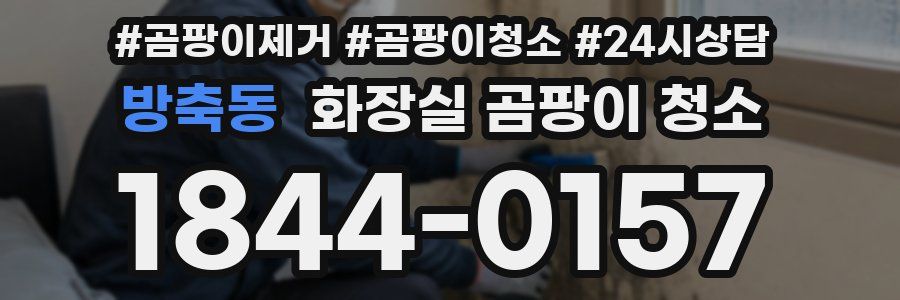 방축동 화장실 곰팡이 청소