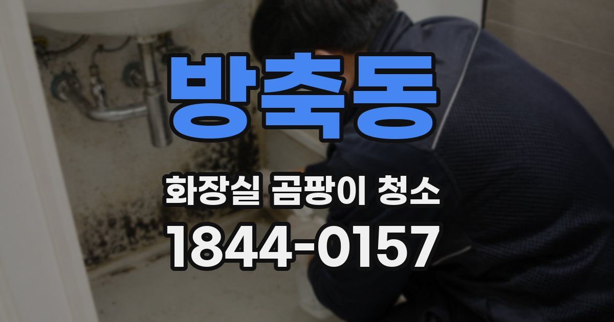방축동 화장실 곰팡이 청소