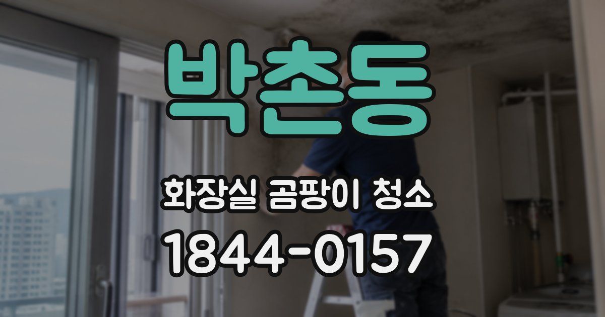 박촌동 화장실 곰팡이 청소