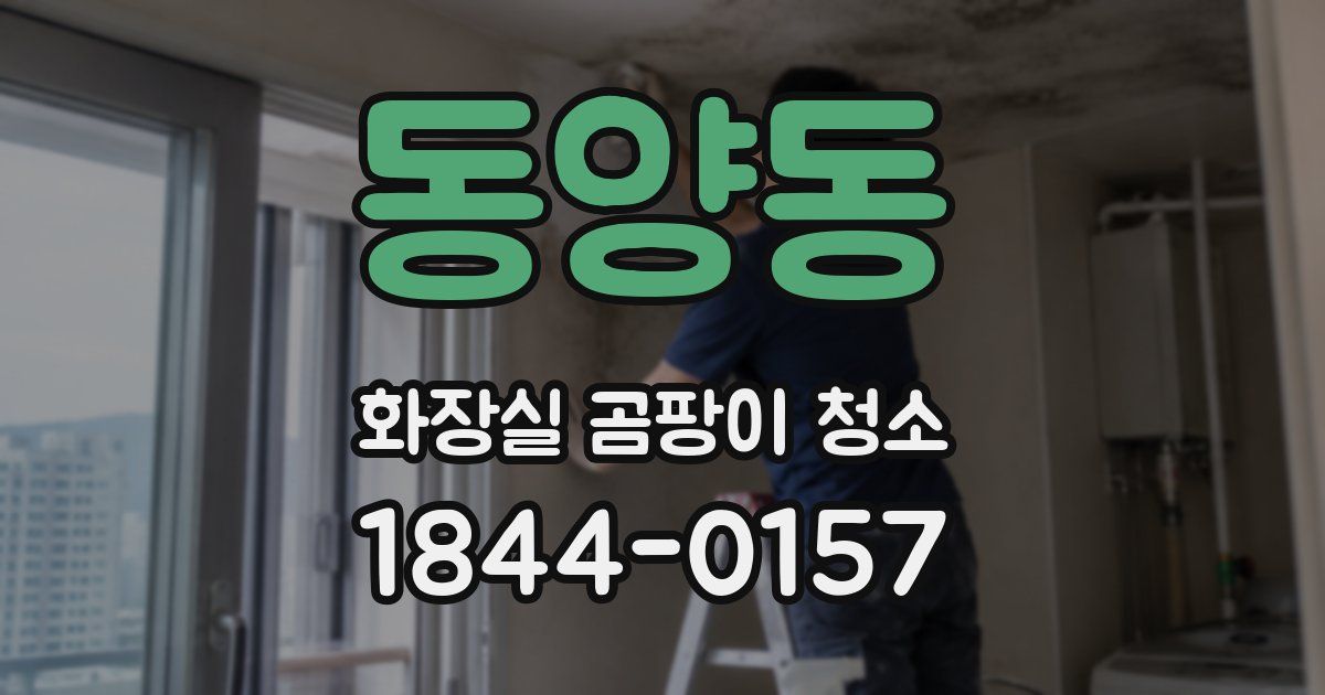 동양동 화장실 곰팡이 청소
