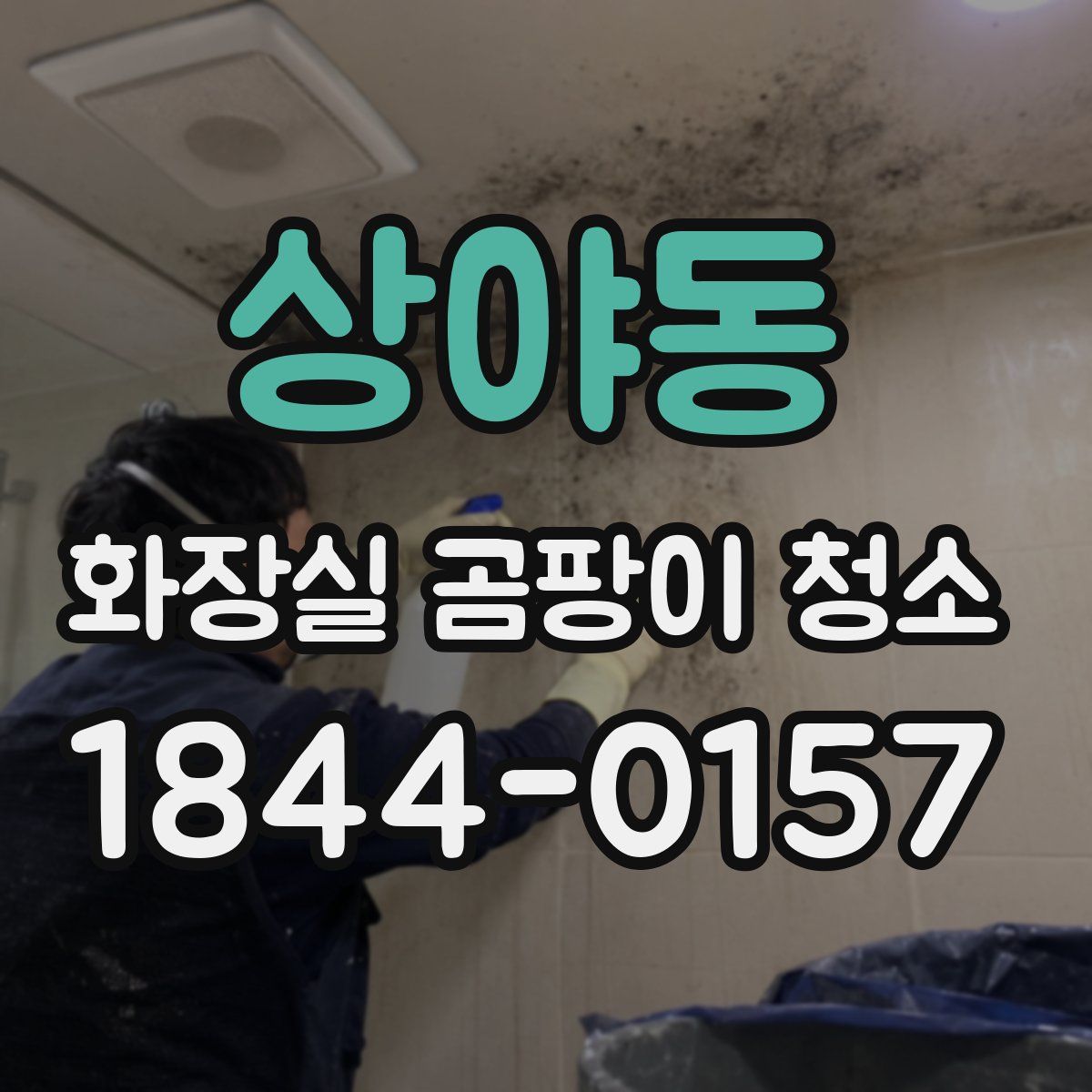 상야동 화장실 곰팡이 청소