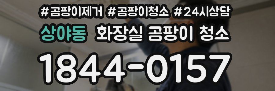 상야동 화장실 곰팡이 청소