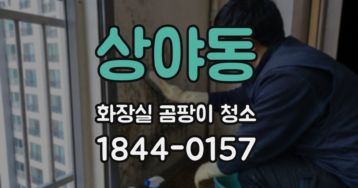 상야동 화장실 곰팡이 청소